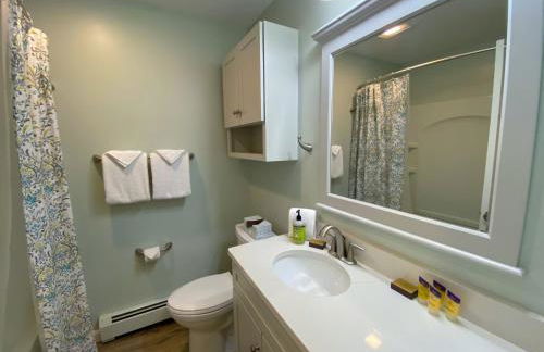 R7 Ski-in Ski-out Bretton Woods Townhome on 2-mile home trail Mt Washington views - Foto 14