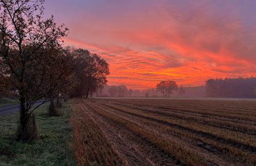 Wunderschöne Ferienwohnung mit Balkon auf dem Bauernhof - Foto 41