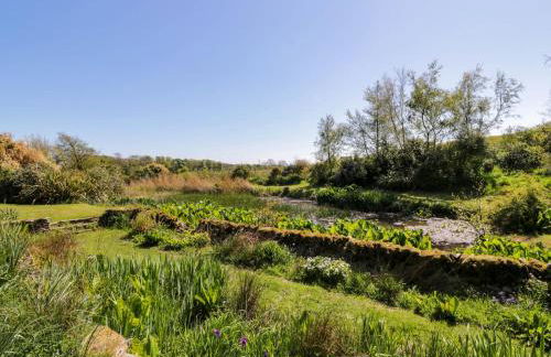 Claymoddie - Foto 41