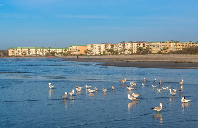 760 Ocean Boulevard #404 by Hodnett Cooper - Foto 21