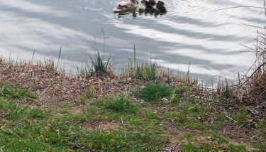 magníficas vistas - Foto 4