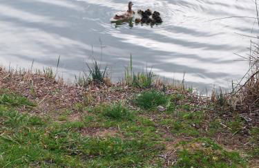 magníficas vistas - Foto 4