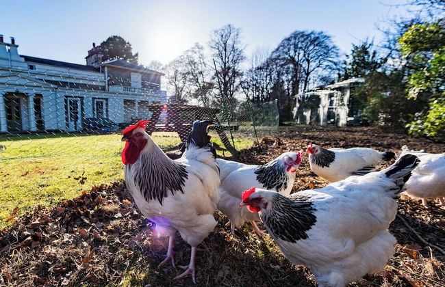 East Wing Apartment - Foto 29