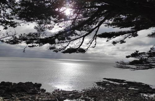 Au Phare Breton - Arzon - Port du Crouesty - Foto 47