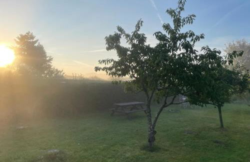 Ruegenferienhaus - Schaprode Hafen - Foto 61