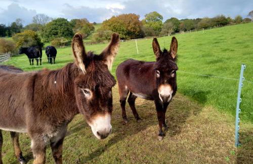Acorn Cottage, Ashover - Foto 10