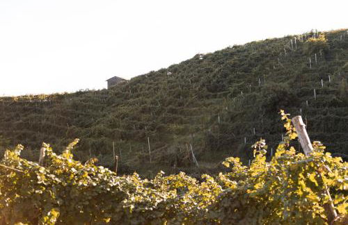 Casa Capitania - Foto 25