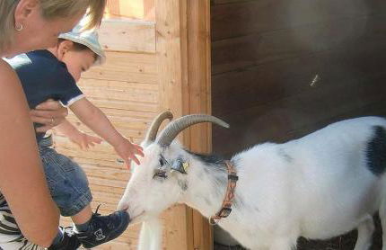 Ferienbauernhof Herrmann - Foto 3