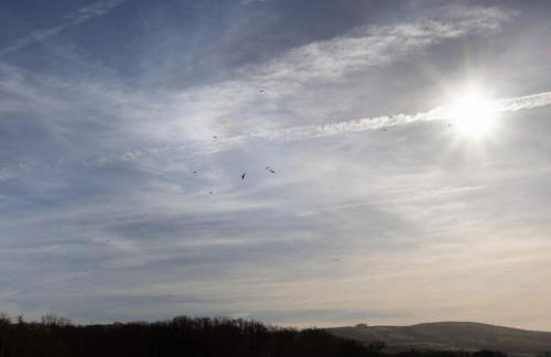 Family Country Cottage with Stunning Mountain View sleeps 12 - Foto 38