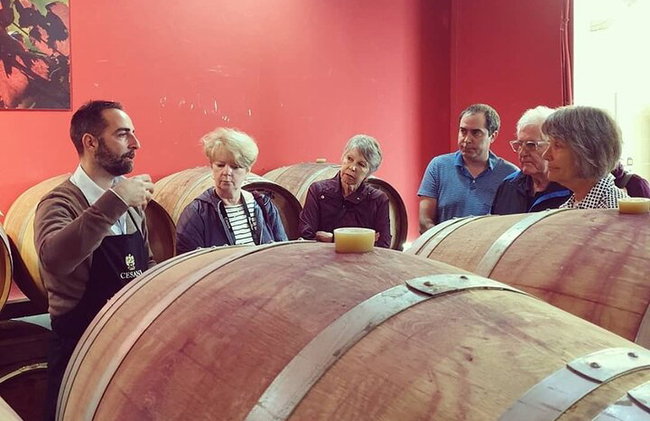 Cata de vinos "Gourmet" en Cesani's - Foto 8