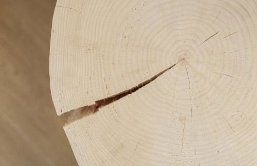 Appartamenti Terme Viola - Foto 21