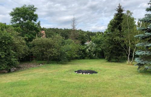 Domek całoroczny blisko lasu i morza na urokliwej działce 4300 m2 - Photo 6