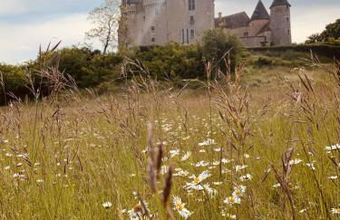 Gîte Familial 4 étoiles - École du Maupas - Coeur Brenne - Foto 51