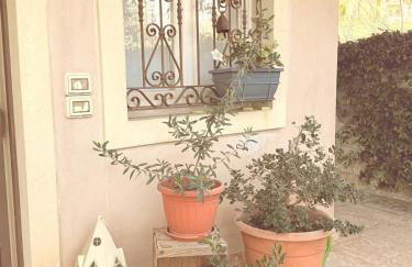 Alle Albere - Verona - Bussolengo - Foto 16