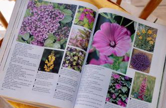 Radawnica pl - Tu odpoczniesz! - Foto 63