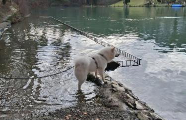 Pure Vista Hank Schwarzwaldblick - Foto 44