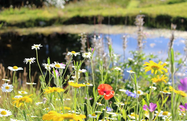 Torran View - Foto 24