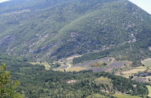 La Terrasse d'Oléa, au coeur du village - Foto 37