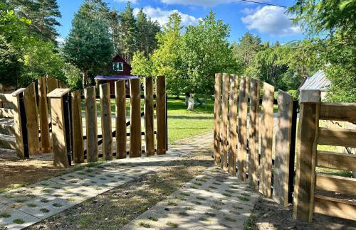 Gryfne Kaszuby - Foto 40