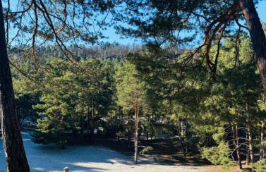 Holiday Home Schloßblick - Foto 49
