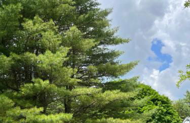 The Tannery House - Foto 29