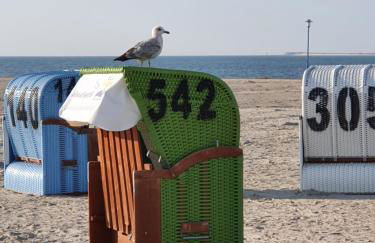 Fewo am Yachthafen - Foto 19