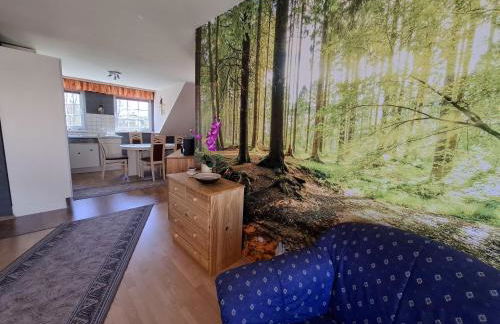 Ferienwohnungen Königshof - Foto 24