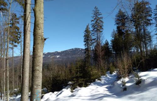 Ferienhaus Schachtenbach - Foto 24