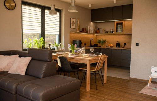 W Sercu Kotliny - luksusowe wille 8 osobowe z balią opalaną drewnem i widokiem na góry - Foto 20