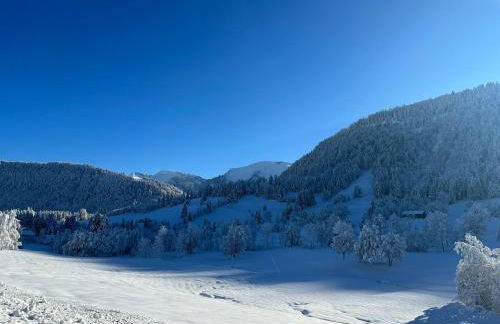 Landhaus Eibelesee - Foto 60