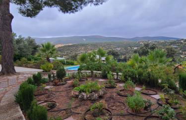 Casa Terra - Foto 11