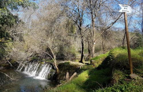 Casas da Balsa - Foto 43