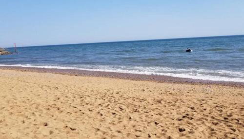 Seaside Studio right on the coastal path. - Foto 2