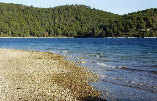 Apartments by the sea Polace, Mljet - 613 - Foto 38