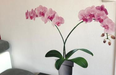 BedinReims "burgundy bottle" 110m2 Exceptional, 4 chambres doubles, 2 bain, free park & wifi, tout équipé - Foto 8