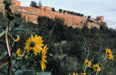 Il Girasole Storico - Foto 25