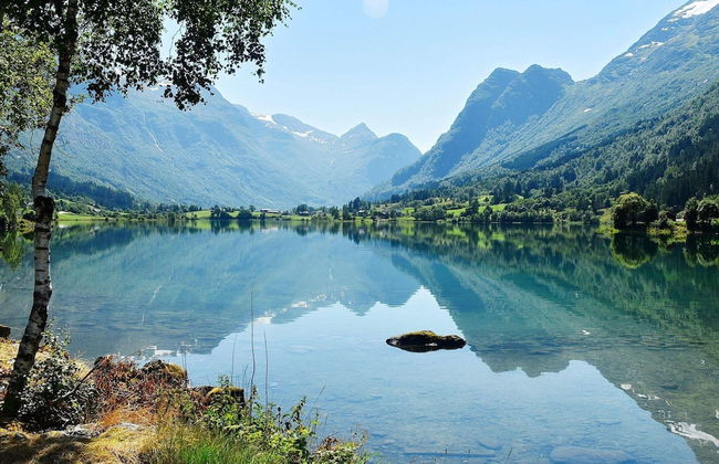 4 Person Holiday Home in Oldedalen-by Traum - Foto 13