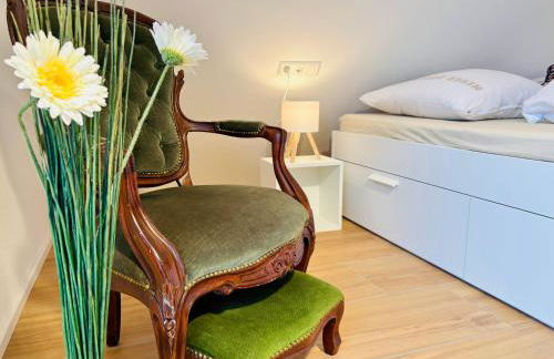 Marktplatz 14 Penthouse Apartments Bad Buchau - Foto 10