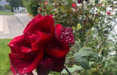 Villa Cartaxense - Foto 13