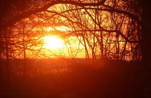 Erlenhof-Steinau-Fachwerkhaus-mit-Reetdach - Foto 32