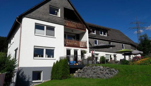 Modern Apartment in Sellinghausen With Terrace - Foto 1