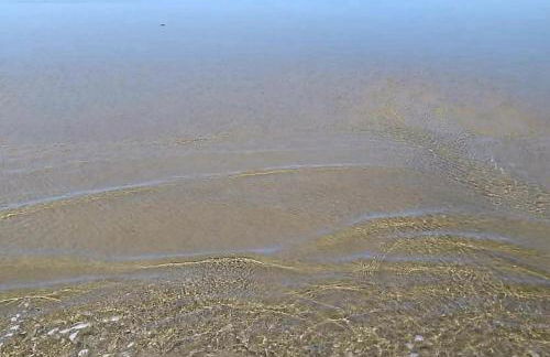 Residencial Coconut's Beach - Foto 19