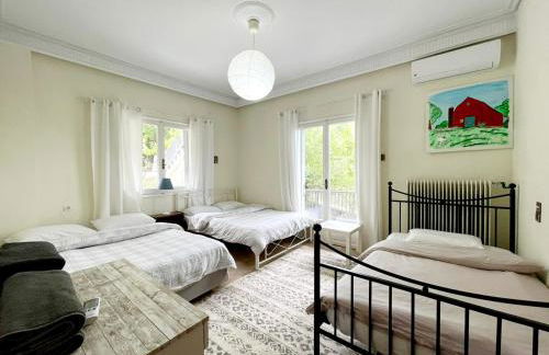 Country Home Genesi 20 min from Trikala - Foto 42