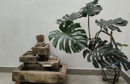 Leather Loft Rural - Foto 11