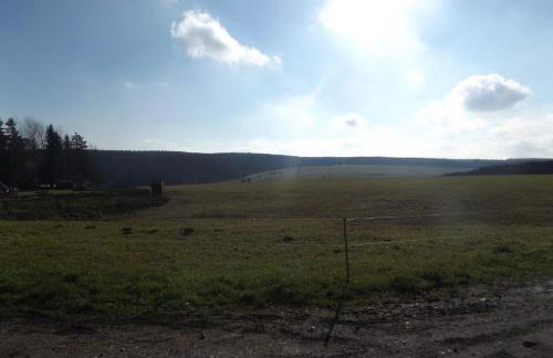 Haus am Waldesrand - Foto 8