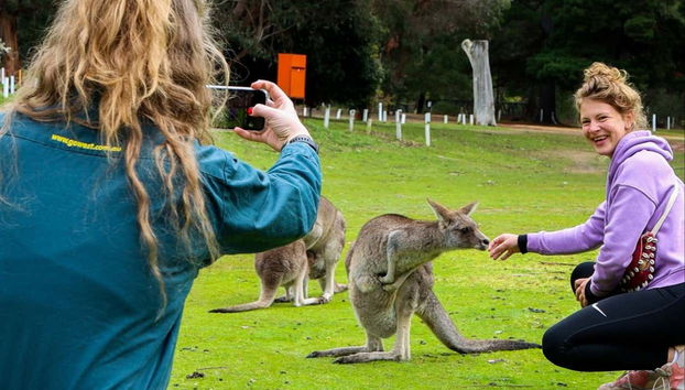 La clásica foto con los canguros