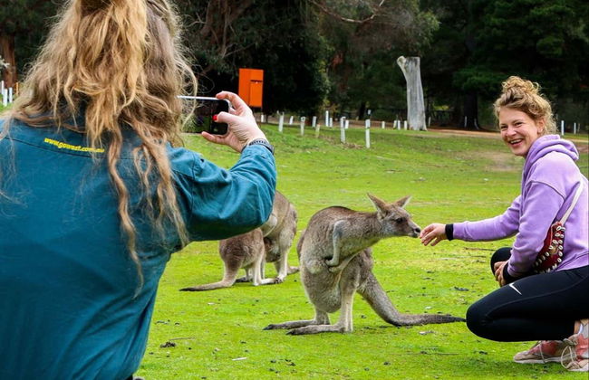 Grampians National Park Tour - Photo 5