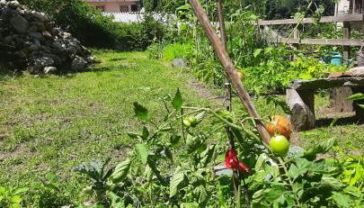 cascina lago - Foto 3