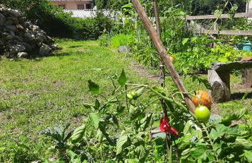 cascina lago - Foto 3