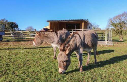 Langdale Barn - Foto 24